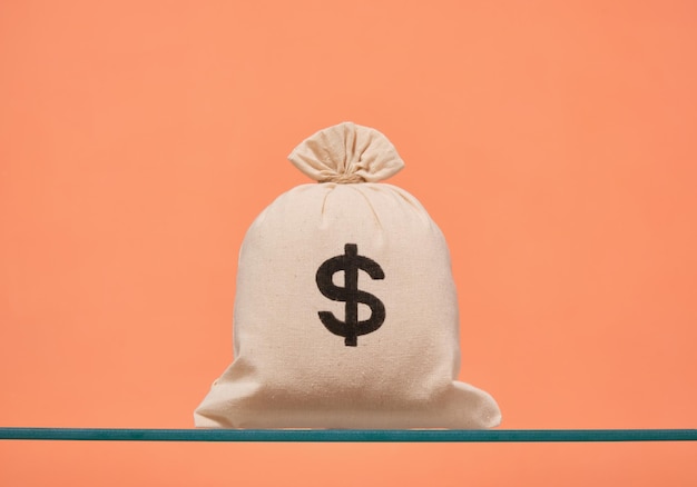 Una borsa di soldi successo ed economico