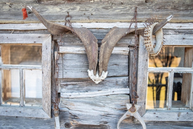 Una capanna di legno con palchi e palchi appesi al muro.