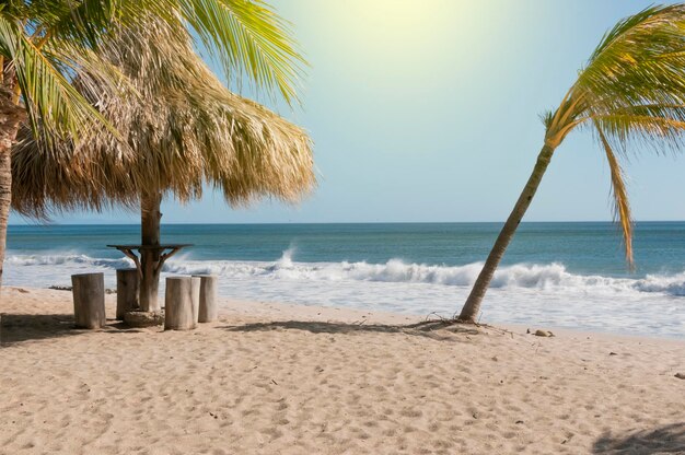 Una capanna sulla spiaggia vicino alle onde una capanna sulla spiaggia con vacanze di concetto di palme