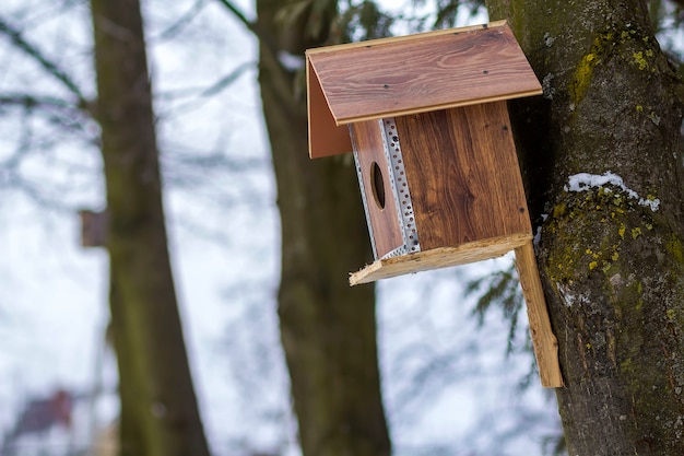 Una casa in legno per uccelli sull'albero nella foresta.