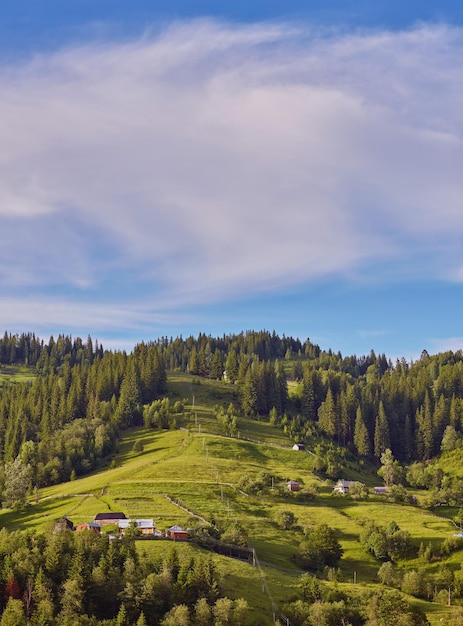 Una casa in legno su un prato verde in montagna Una casa vicino alla vecchia foresta