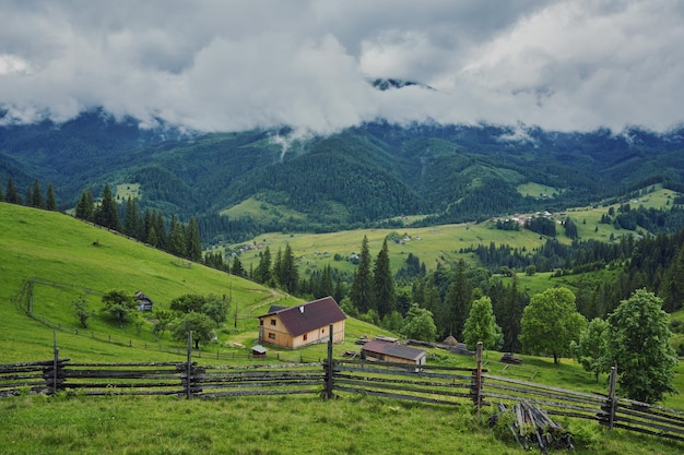 Una casa in legno su un prato verde in montagna Una casa vicino alla vecchia foresta