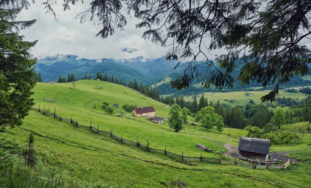 Una casa in legno su un prato verde in montagna Una casa vicino alla vecchia foresta