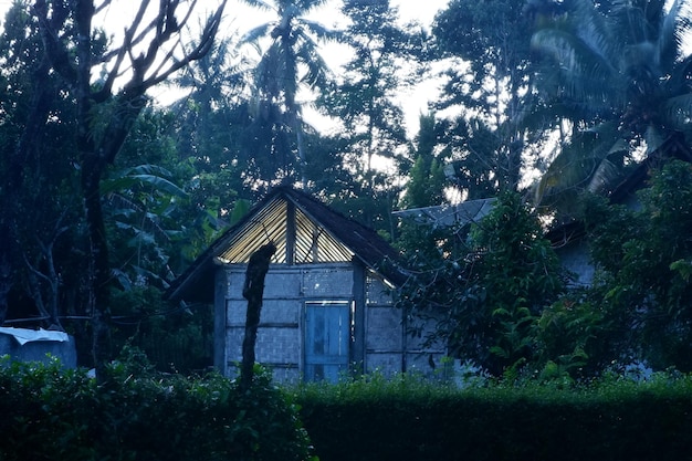 una casa nella foresta