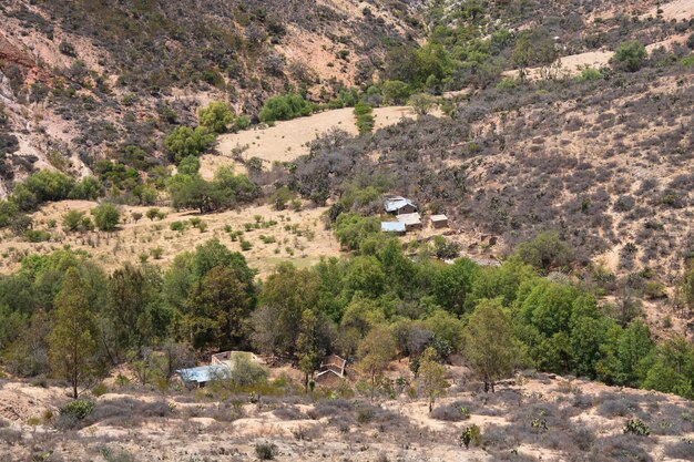 Una casa rurale abbandonata in montagna con cactus