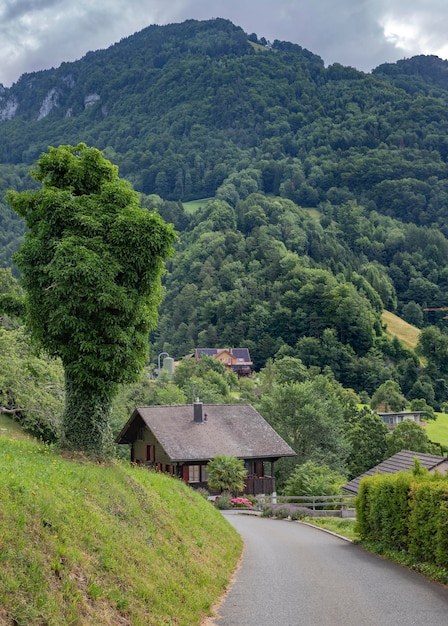 Una casa su una collina con un albero davanti