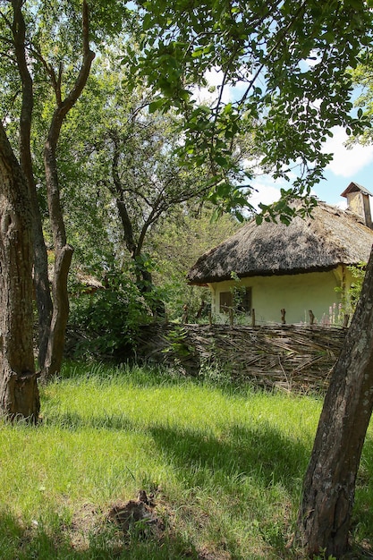 Una casa una casa di fango un recinto di vimini un albero un villaggio ucraino