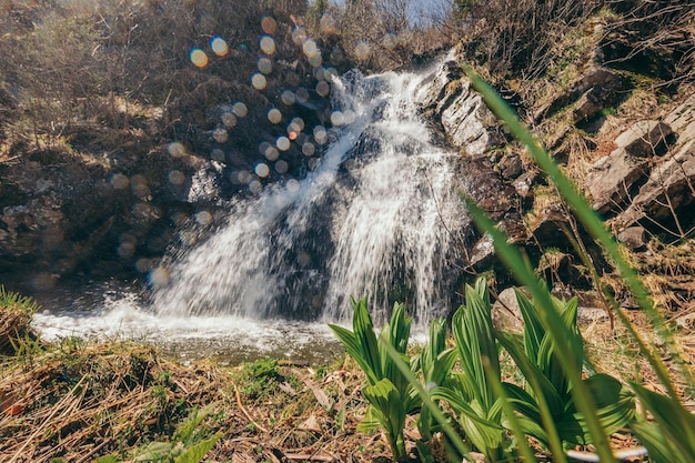 Una cascata con alberi sullo sfondo