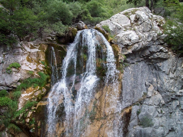 Una cascata nella foresta