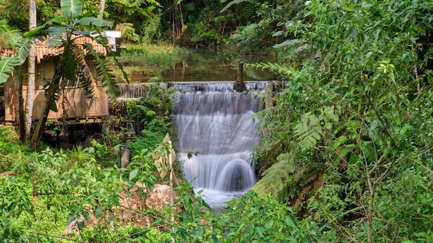 Una cascata nella giungla con un cartello che dice "il fiume è visibile '