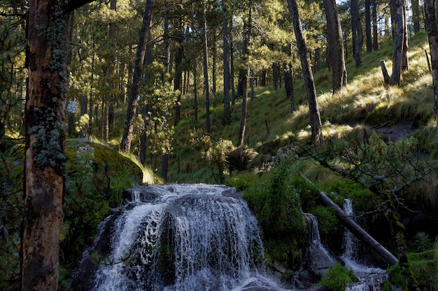 Una cascata nella montagna Iztaccihuatl, Messico