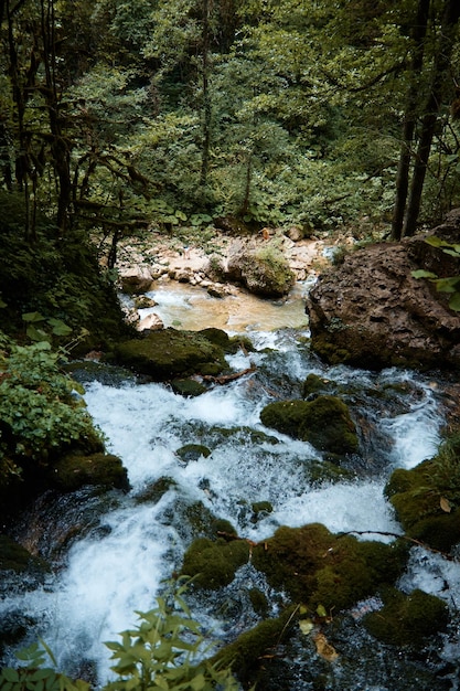 Una cascata si fa strada attraverso le pietre nella foresta di alberi verdi e rocce l'acqua di montagna chiara scorre dall'alto del fiume di montagna