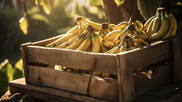 Una cassetta di legno di banane è piena di banane.