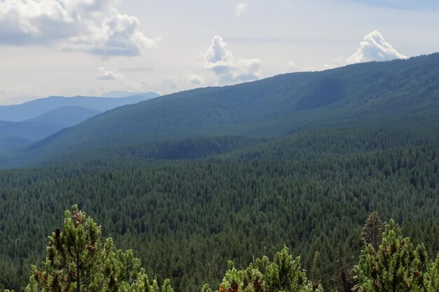 una catena montuosa con alberi e montagne sullo sfondo