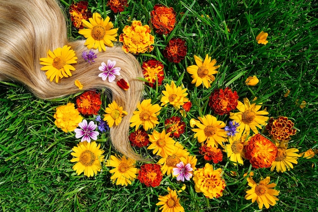 Una ciocca di capelli biondi tra i fiori sull'erba verde concetto di salute dei capelli ingrediente naturale cos...