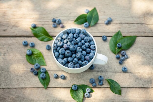 Una ciotola con mirtillo fresco Vaccinium myrtillus su una vecchia panca di legno Mirtilli freschi del giardino