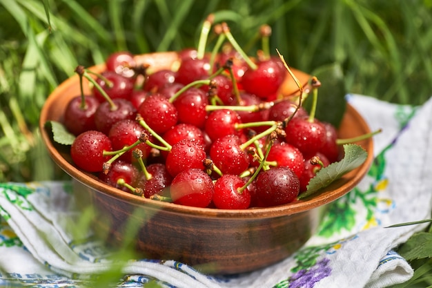 Una ciotola piena di ciliegie rosse mature dolci in piedi sull'erba verde.