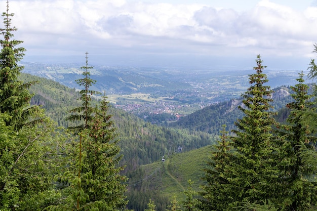 Una città è visibile attraverso gli alberi sulla sinistra.