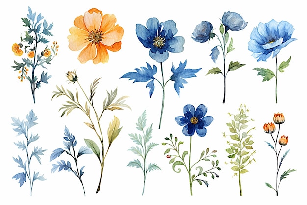 Una collezione di fiori del giardino botanico.