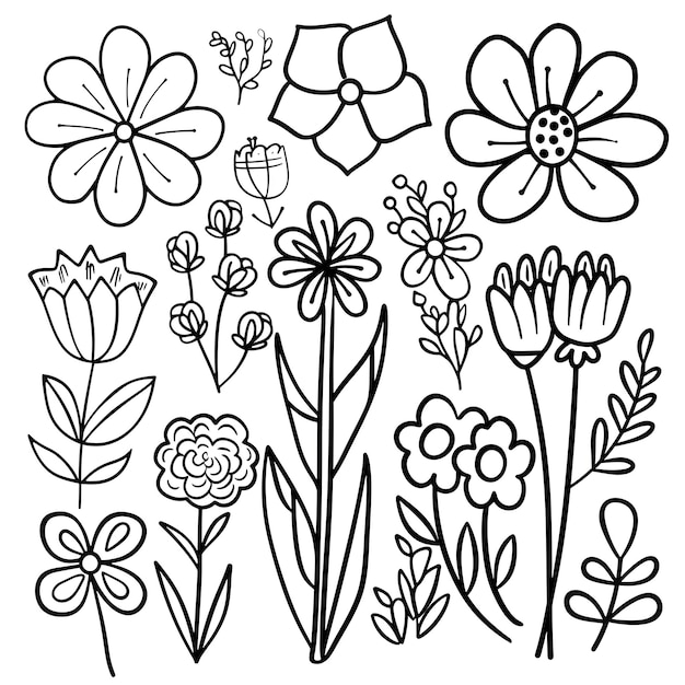una collezione di fiori tra cui uno che dice primavera