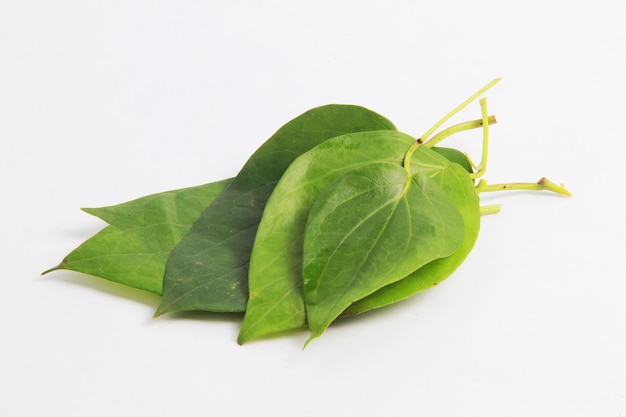 una collezione di foglie di betel