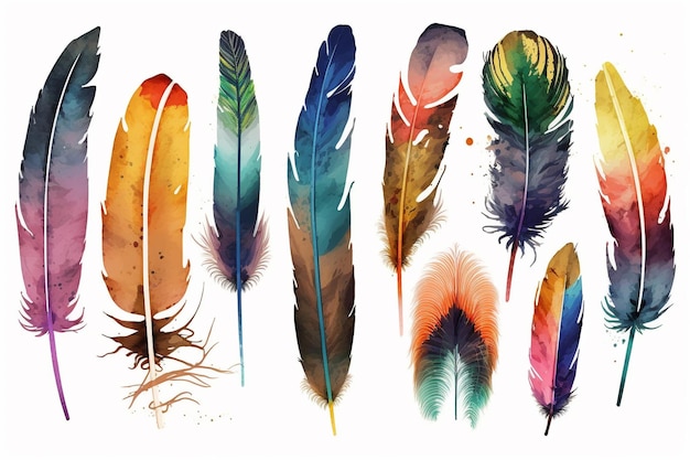 Una collezione di piume con colori diversi e la parola piume su di esse.