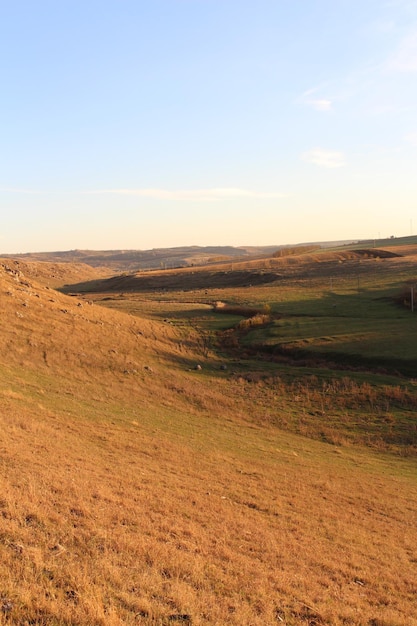 Una collina erbosa con un fiume