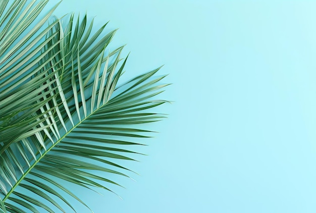 una colorata disposizione tropicale di foglie di palma su uno sfondo azzurro