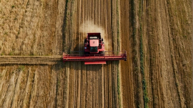 Una combinata che lavora in un campo di grano