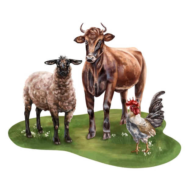 Una composizione di una pecora nera un toro e un gallo Per cartoline tessili opuscoli adesivi