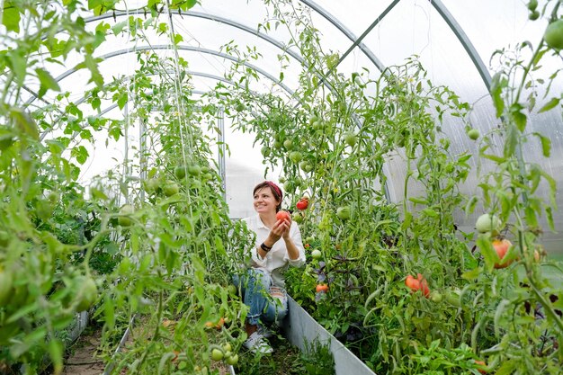 Una contadina che lavora in serra biologica. Donna che coltiva piante biologiche, pomodori in fattoria