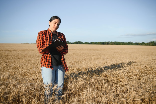 Una contadina esamina il campo dei cereali e invia i dati al cloud dal tablet Agricoltura intelligente e agricoltura digitale