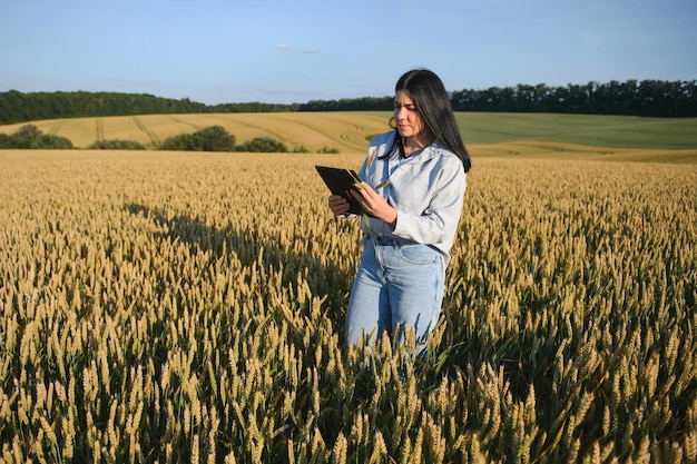 Una contadina esamina il campo di cereali e dal tablet invia i dati al cloud Smart farming e agricoltura digitale