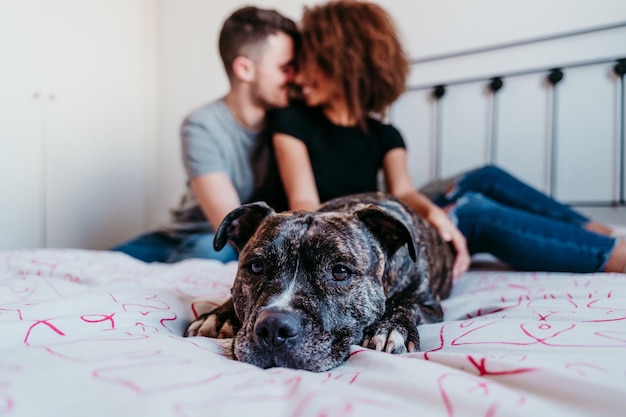 Una coppia che ride seduta a letto con un cane a casa