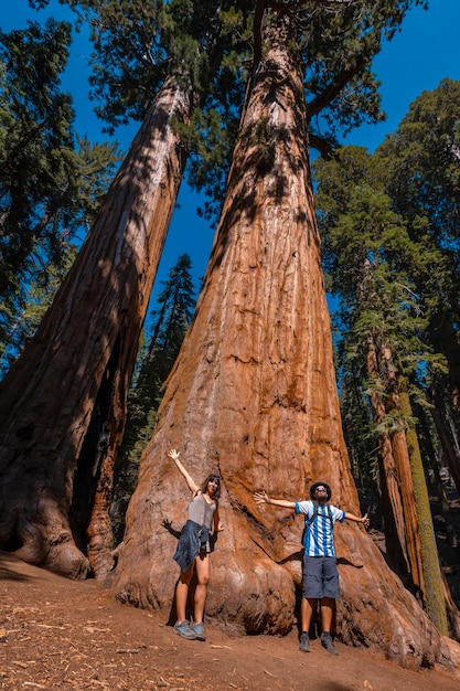 Una coppia con la consistenza di una corteccia di albero nel Parco Nazionale di Sequoia California