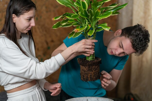 Una coppia trapianta un fiore in un nuovo vaso