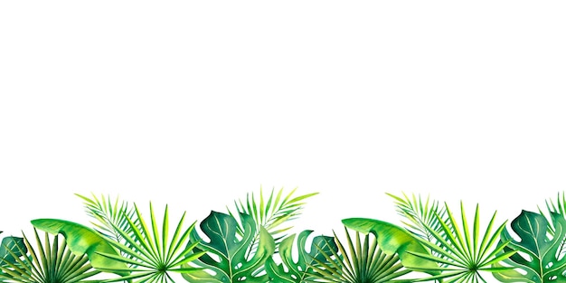 Una cornice fatta di piante tropicali Banner Monstera ramo di palma foglie di banano Illustrazione acquerello