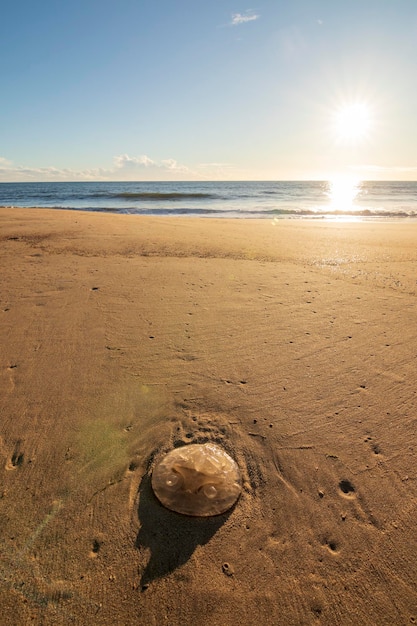 Una delle spiagge più belle della Spagna, chiamata (Cuesta Maneli, Huelva) in Spagna.