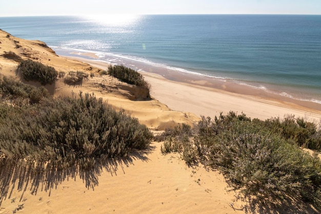 Una delle spiagge più belle della Spagna, chiamata (El Asperillo, Doñana, Huelva) in Spagna.