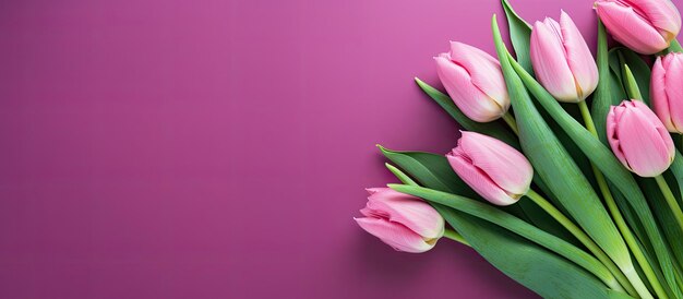 Una disposizione di tulipani rosa è in mostra su uno sfondo verde vibrante Rappresenta concetti