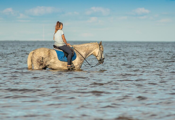Foto una donna a cavallo nell'acqua