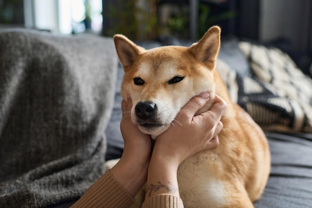 Una donna che esprime l'amore per il suo Shiba Inu