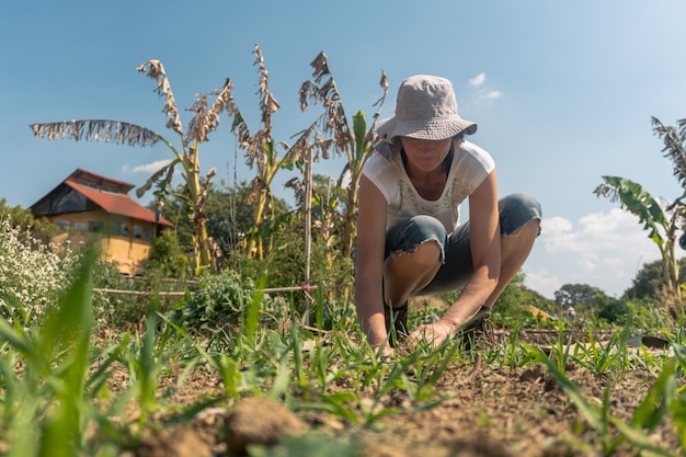 Una donna che lavora nel giardino di permacultura