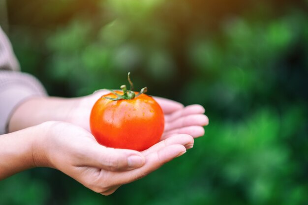 Una donna che tiene in mano un pomodoro fresco