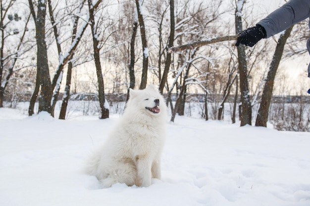 Una donna con un cane nella neve