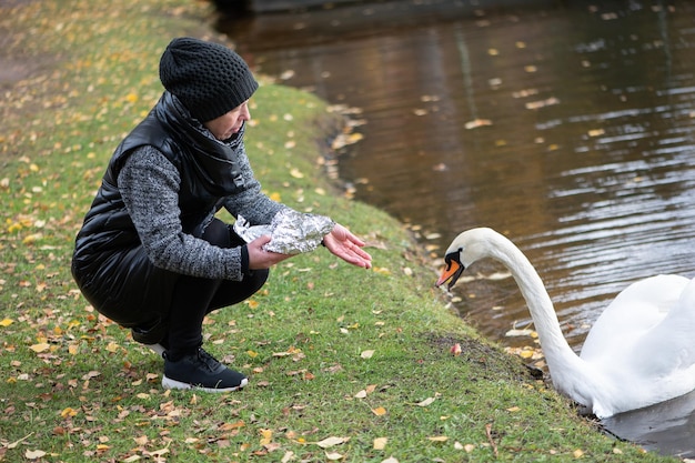 Una donna con un cappotto nero e un cappello lavorato a maglia alimenta il pane a un cigno bianco sulla riva di uno stagno