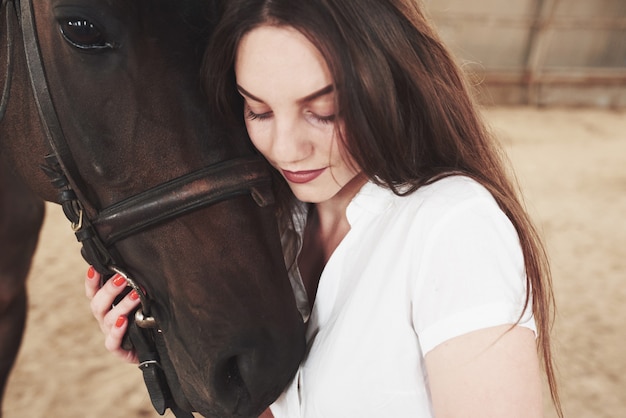 Una donna felice comunica con il suo cavallo preferito. La donna ama gli animali e l'equitazione