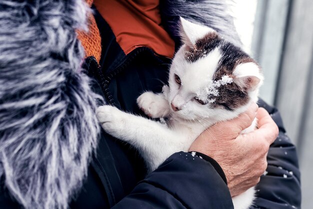 Una donna in abiti invernali che tiene in braccio un simpatico gatto in inverno