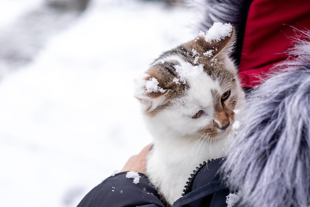 Una donna in abiti invernali che tiene in braccio un simpatico gatto in inverno