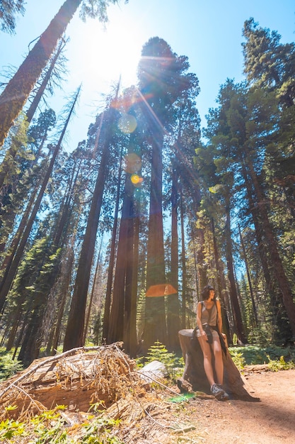 Una donna in alberi giganti in un prato del Sequoia National Park in California